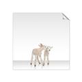 Picture of Together Lambs _GroupedProduct_Square_Mini_ _GroupedProduct_Square_Unframed_Print_Only_