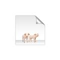Picture of Together Pigs _GroupedProduct_Square_Mini_ _GroupedProduct_Square_Unframed_Print_Only_