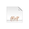 Picture of Together Pigs _GroupedProduct_Square_Mini_ _GroupedProduct_Square_Unframed_Print_Only_