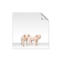 Picture of Together Pigs _GroupedProduct_Square_Mini_ _GroupedProduct_Square_Unframed_Print_Only_