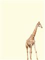 Picture of Safari l _GroupedProduct_Rectangle_Portrait_Mini_ _GroupedProduct_Rectangle_Portrait_Unframed_Print_Only_
