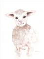 Picture of Baby Sheep Front _GroupedProduct_Rectangle_Portrait_Mini_ _GroupedProduct_Rectangle_Portrait_Unframed_Print_Only_