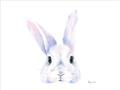 Picture of Peekaboo Bunny _GroupedProduct_Rectangle_Landscape_Mini_ _GroupedProduct_Rectangle_Landscape_Unframed_Print_Only_