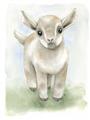 Picture of Farm Lamb _GroupedProduct_Rectangle_Portrait_Mini_ _GroupedProduct_Rectangle_Portrait_Unframed_Print_Only_