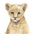 Picture of Lion Babe _GroupedProduct_Square_Mini_ _GroupedProduct_Square_Unframed_Print_Only_
