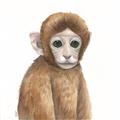 Picture of Monkey Babe _GroupedProduct_Square_Mini_ _GroupedProduct_Square_Unframed_Print_Only_