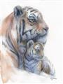 Picture of Mom and Baby Tiger _GroupedProduct_Rectangle_Portrait_Mini_ _GroupedProduct_Rectangle_Portrait_Unframed_Print_Only_