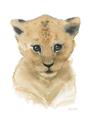 Picture of Lexie Lion _GroupedProduct_Rectangle_Portrait_Mini_ _GroupedProduct_Rectangle_Portrait_Unframed_Print_Only_