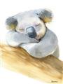 Picture of Sleeping Koala I _GroupedProduct_Rectangle_Portrait_Mini_ _GroupedProduct_Rectangle_Portrait_Unframed_Print_Only_