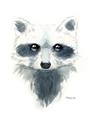 Picture of Raccoony _GroupedProduct_Rectangle_Portrait_Mini_ _GroupedProduct_Rectangle_Portrait_Unframed_Print_Only_