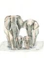 Picture of Elephant Family _GroupedProduct_Rectangle_Portrait_Mini_ _GroupedProduct_Rectangle_Portrait_Unframed_Print_Only_