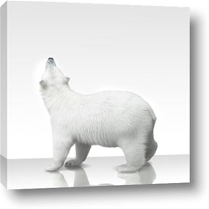 Picture of Singular Polar Bear