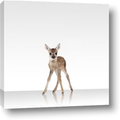 Picture of Singular Deer