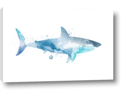 Picture of Blue Splash Shark I