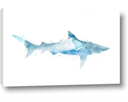 Picture of Blue Splash Shark II