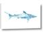Picture of Blue Splash Shark II