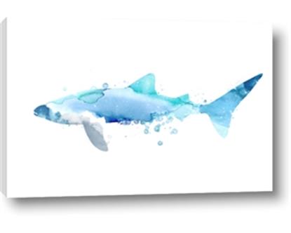 Picture of Blue Splash Shark III