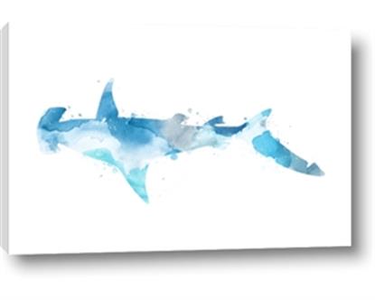 Picture of Blue Splash Shark IV