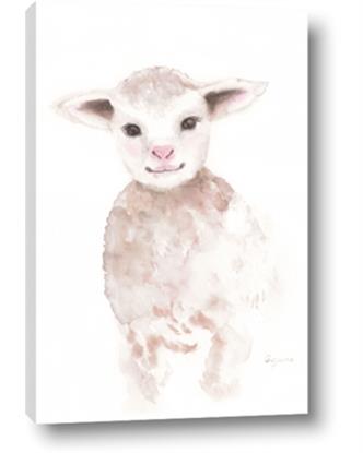 Picture of Baby Sheep Front