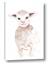 Picture of Baby Sheep Front