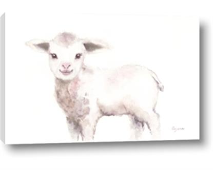 Picture of Baby Sheep Side