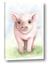 Picture of Piglet