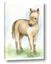 Picture of Farm Horse