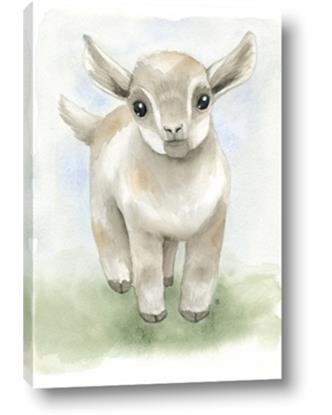 Picture of Farm Lamb