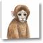 Picture of Monkey Babe