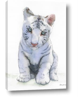 Picture of White Tiger Cub