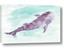 Picture of Purple Whale Friend