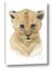 Picture of Lexie Lion