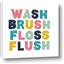 Picture of Wash Brush Floss II