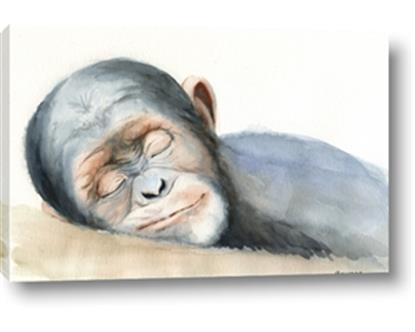 Picture of Sleeping Monkey