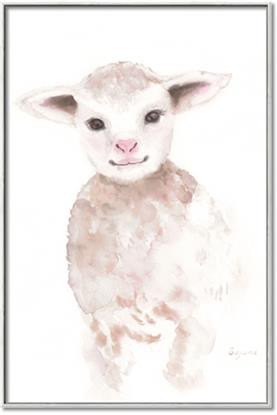 Picture of Baby Sheep Front