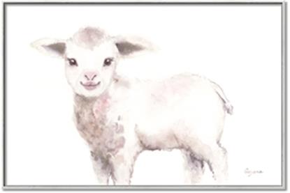 Picture of Baby Sheep Side