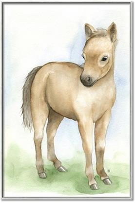 Picture of Farm Horse