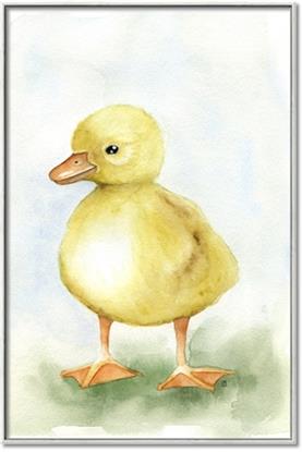 Picture of Farm Duck