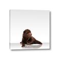 Picture of Singular Bear _GroupedProduct_Square_Mini_ _GroupedProduct_Square_Canvas_