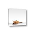 Picture of Singular Fox  _GroupedProduct_Square_Mini_ _GroupedProduct_Square_Canvas_