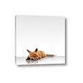 Picture of Singular Fox  _GroupedProduct_Square_Mini_ _GroupedProduct_Square_Canvas_