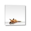 Picture of Singular Fox  _GroupedProduct_Square_Mini_ _GroupedProduct_Square_Canvas_