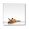 Picture of Singular Fox  _GroupedProduct_Square_Mini_ _GroupedProduct_Square_Canvas_