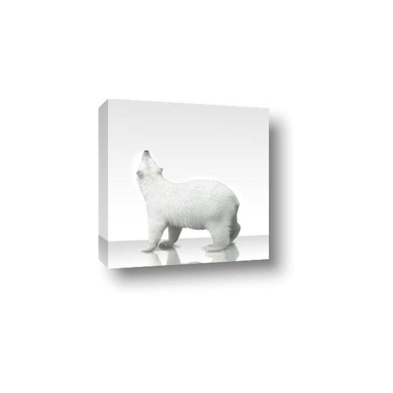 Picture of Singular Polar Bear _GroupedProduct_Square_Mini_ _GroupedProduct_Square_Canvas_
