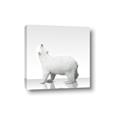 Picture of Singular Polar Bear _GroupedProduct_Square_Mini_ _GroupedProduct_Square_Canvas_