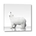 Picture of Singular Polar Bear _GroupedProduct_Square_Mini_ _GroupedProduct_Square_Canvas_