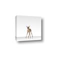 Picture of Singular Deer _GroupedProduct_Square_Mini_ _GroupedProduct_Square_Canvas_