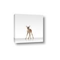 Picture of Singular Deer _GroupedProduct_Square_Mini_ _GroupedProduct_Square_Canvas_