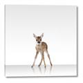 Picture of Singular Deer _GroupedProduct_Square_Mini_ _GroupedProduct_Square_Canvas_