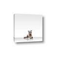Picture of Singular Raccoon _GroupedProduct_Square_Mini_ _GroupedProduct_Square_Canvas_